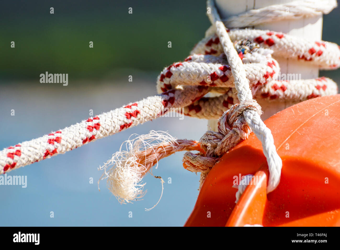 Cinturón de cuerda fotografías e imágenes de alta resolución - Alamy