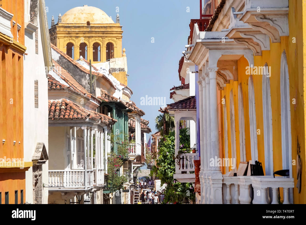 Cartagena COLOMBIA,calle estrecha,balcones,arquitectura colonial,techos de tejas,cúpula,Convento de Santo Domingo,iglesia convento,COL190122028 Foto de stock