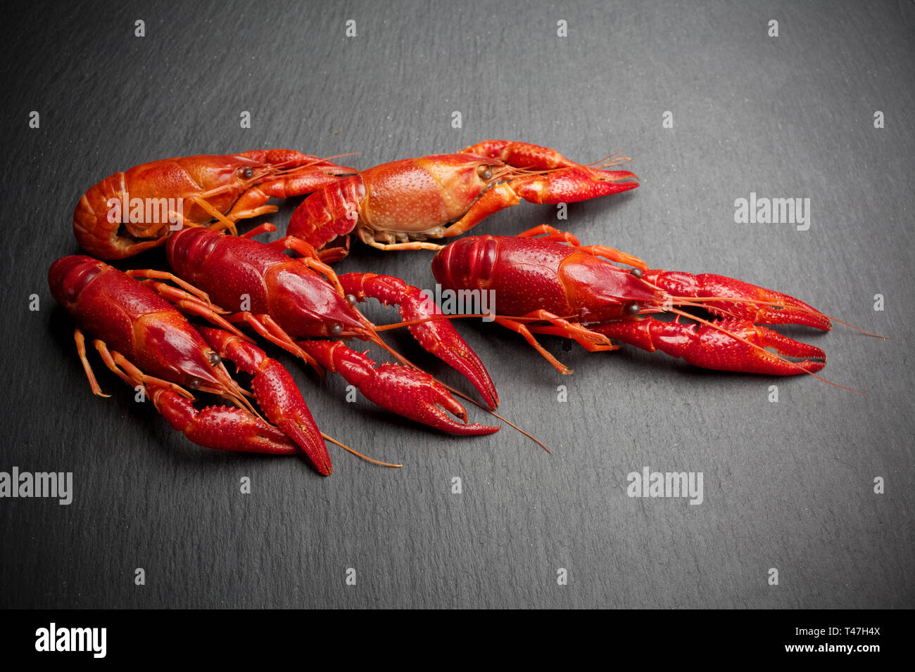 La langosta. Los mariscos. Sobre un fondo de pizarra negra. Foto de stock