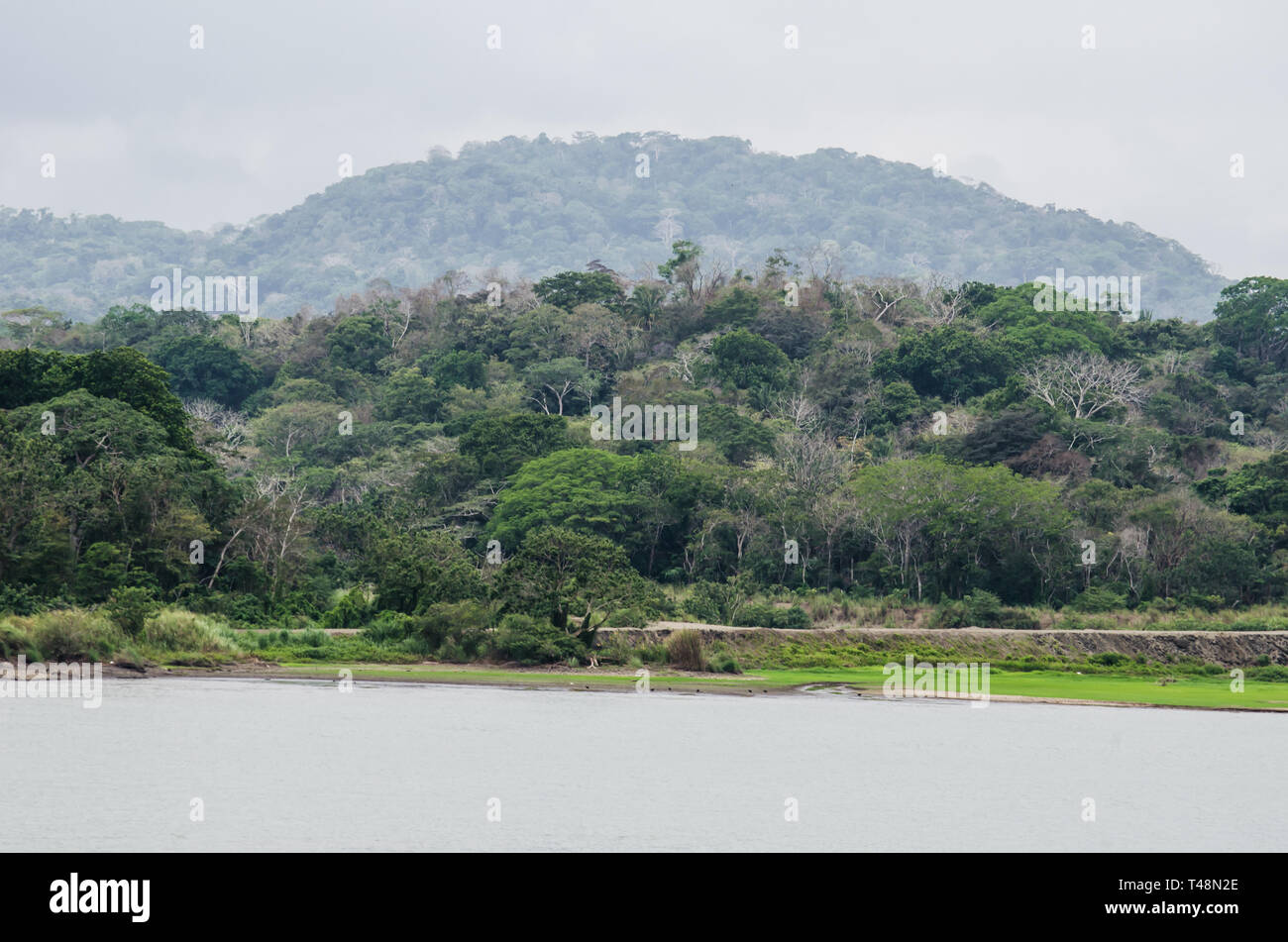 Bosque Protector de Arraiján, un área protegida en la cuenca del Canal
