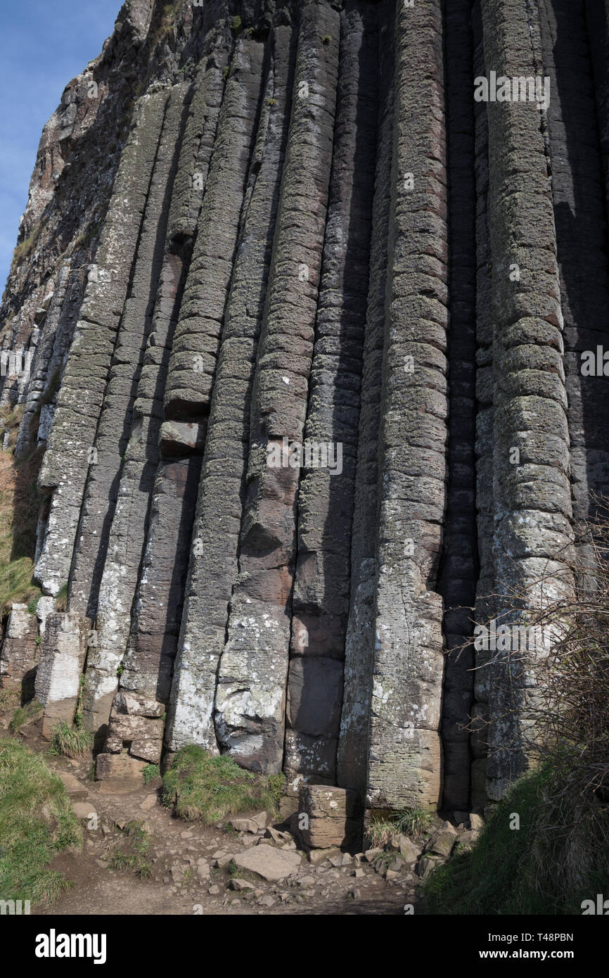 Altas columnas de basalto en la Calzada del Gigante en Irlanda del Norte Foto de stock