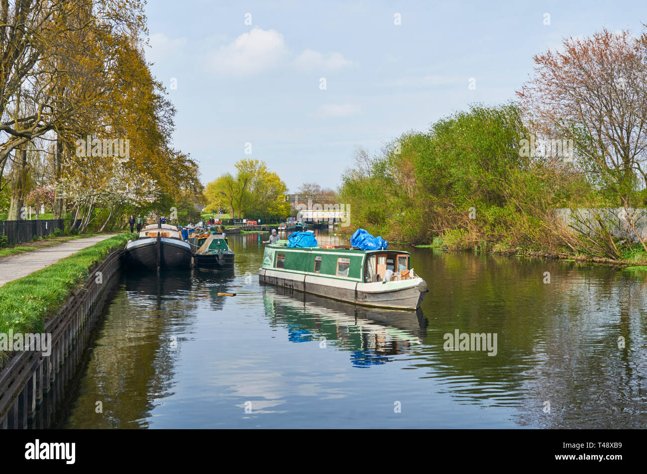 Narrowboat sobre el río Lea en primavera, cerca de Markfield Park, South Tottenham, Londres, Reino Unido Foto de stock