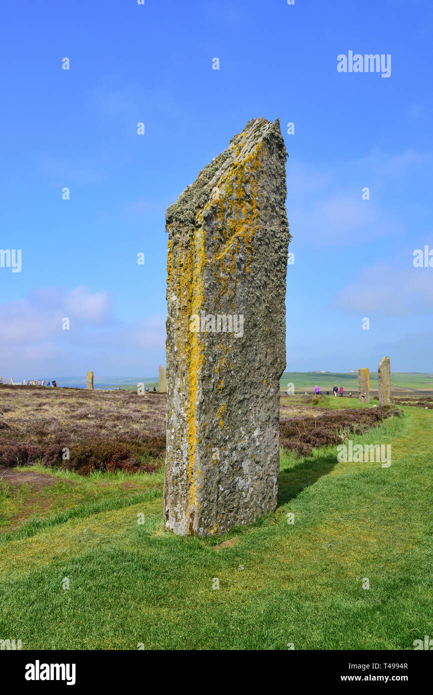 Neolítico Standing Stones, anillo de Brodgar, cerca de Stromness, Continental, las Islas Orkney, las Islas del Norte, Scotland, Reino Unido Foto de stock