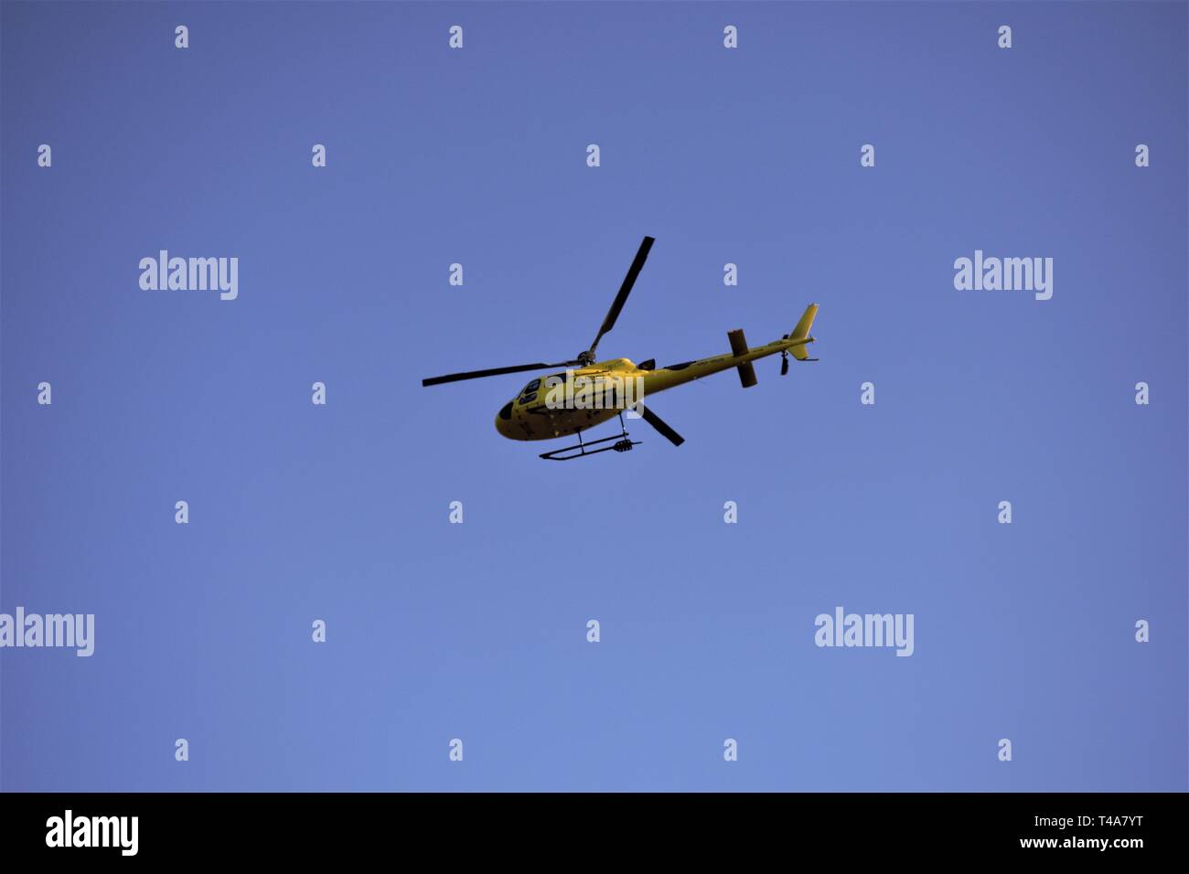 Amarillo FIA World Rally helicóptero en vuelo fotografiada desde el suelo. Contra un cielo azul intenso. Foto de stock