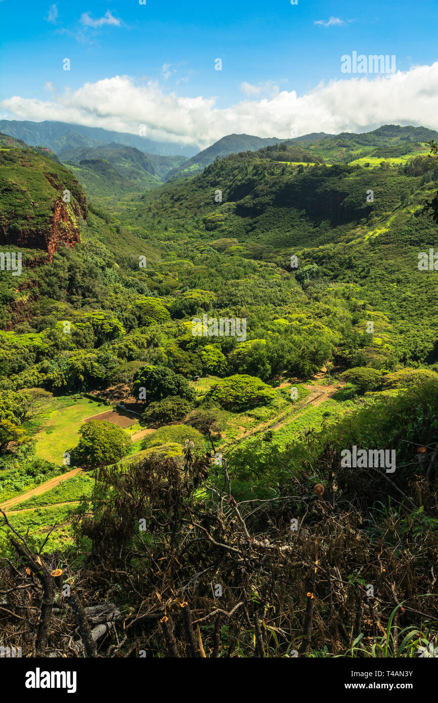 Vistas del valle Hanapepe, Kauai Hawaii Foto de stock