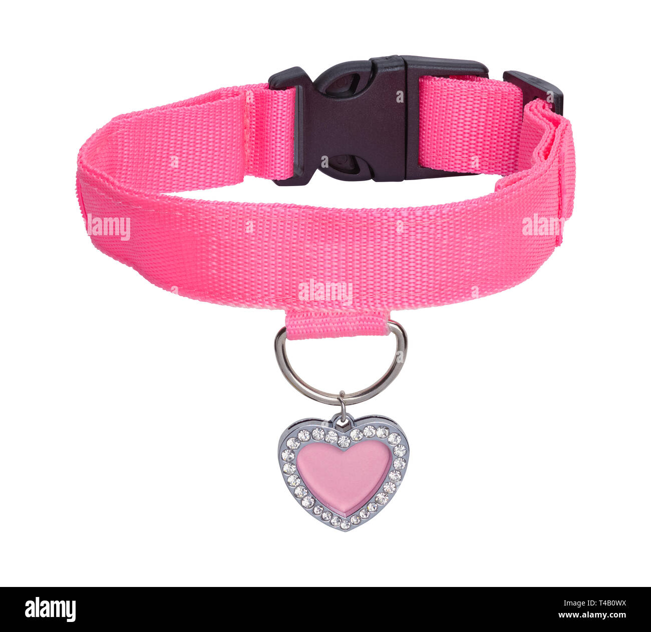 Pink Heart Dog Tag Collar de cuero con aislado sobre fondo blanco. Foto de stock