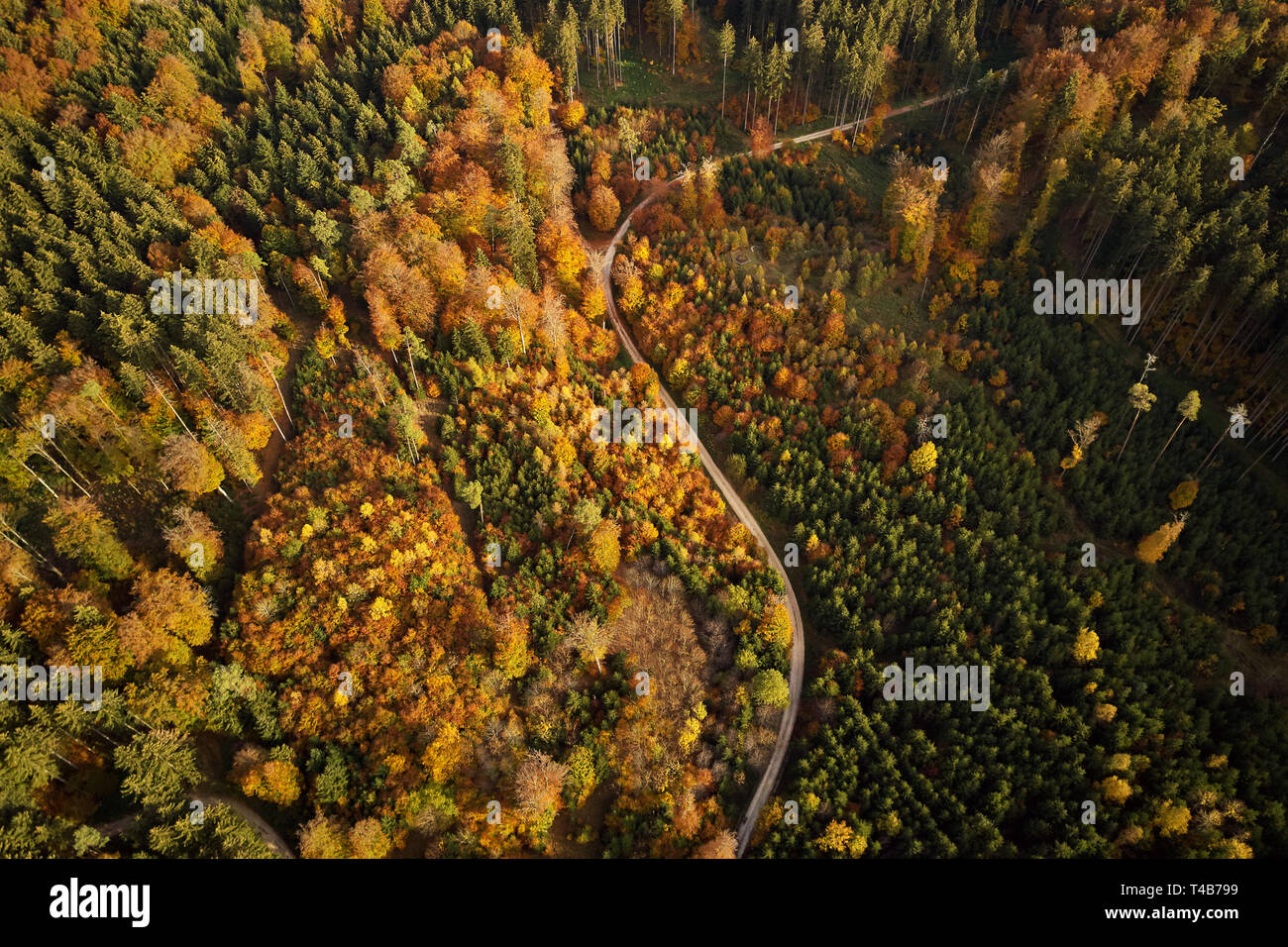 Curva S en el colorido bosque en otoño desde arriba Foto de stock