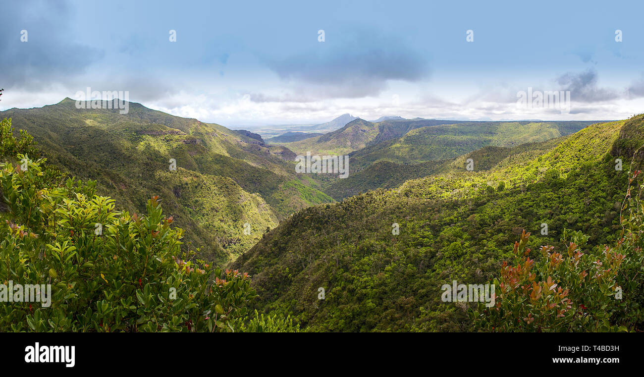 Vistas al Parque Nacional Black River Gorges, Plaine Champagne Road, Mauricio Foto de stock