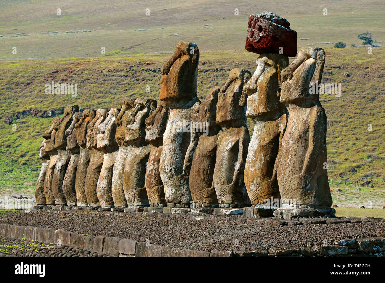 La Icónica Quince Estatuas Moai De Ahu Tongariki Plataforma Ceremonial ...