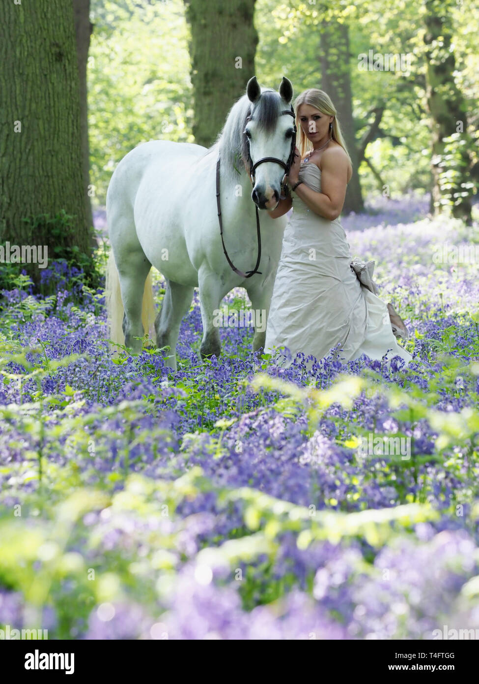 Una bonita rubia jovencita con su caballo gris en un impresionante blue bell de madera. Foto de stock