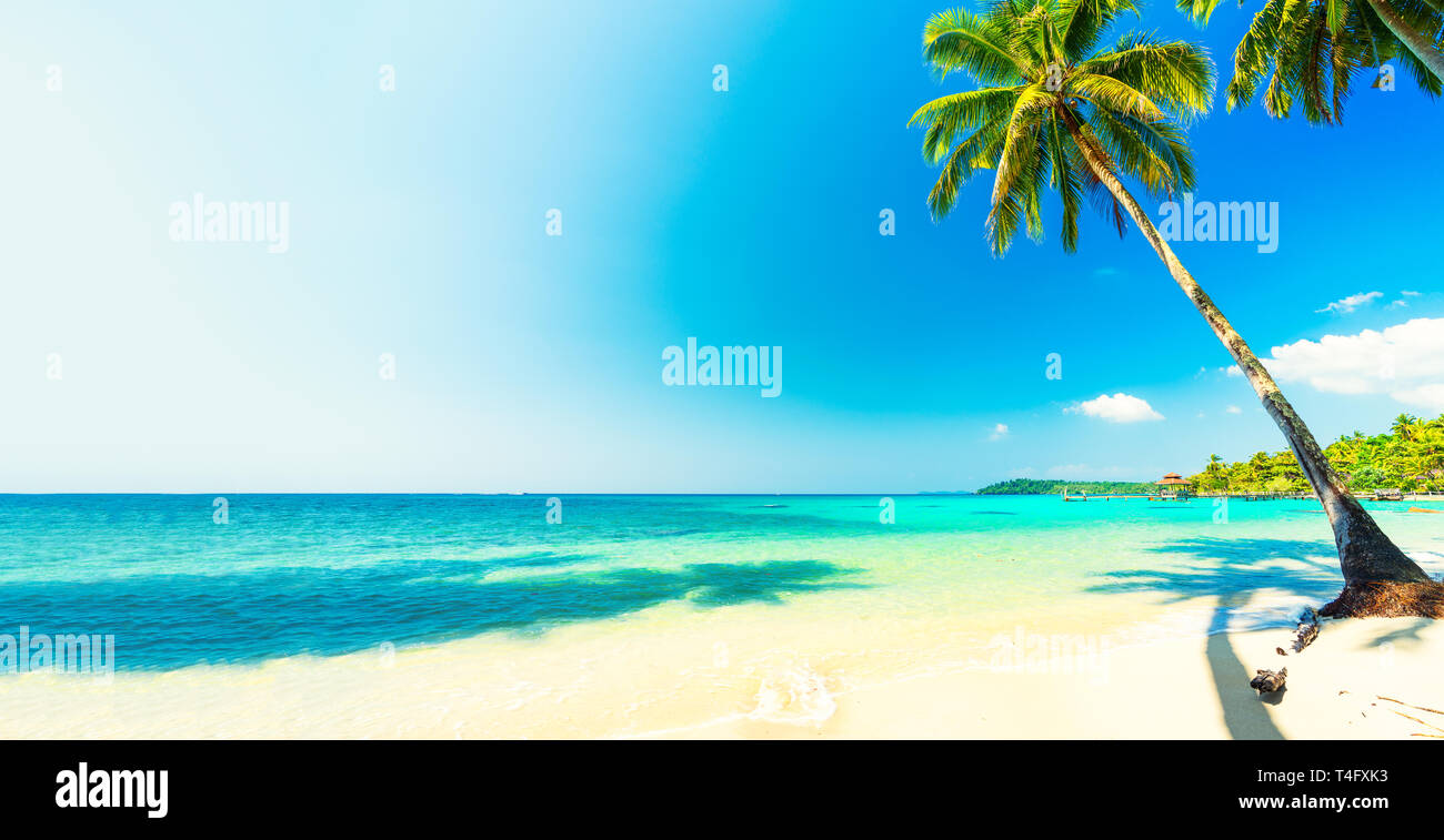 Naturaleza del paisaje de playa tropical con palmeras y cristalinas aguas del mar. Viajes de vacaciones de verano vacaciones en concepto de fondo. Foto de stock