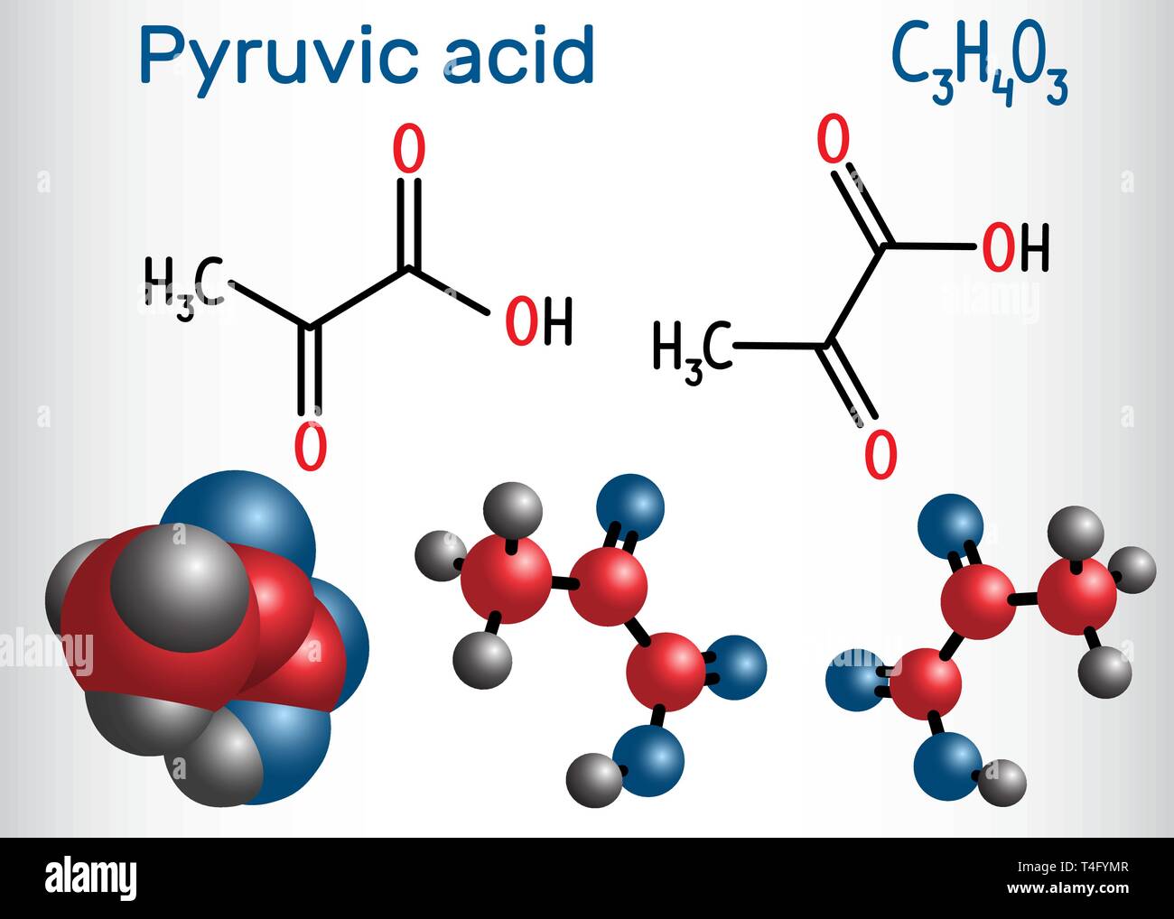 Ácido pirúvico (piruvato) molécula. Es el más sencillo de los alfa-ceto ácidos. Fórmula química estructural y modelo de molécula. Ilustración vectorial Imagen Vector de stock - Alamy