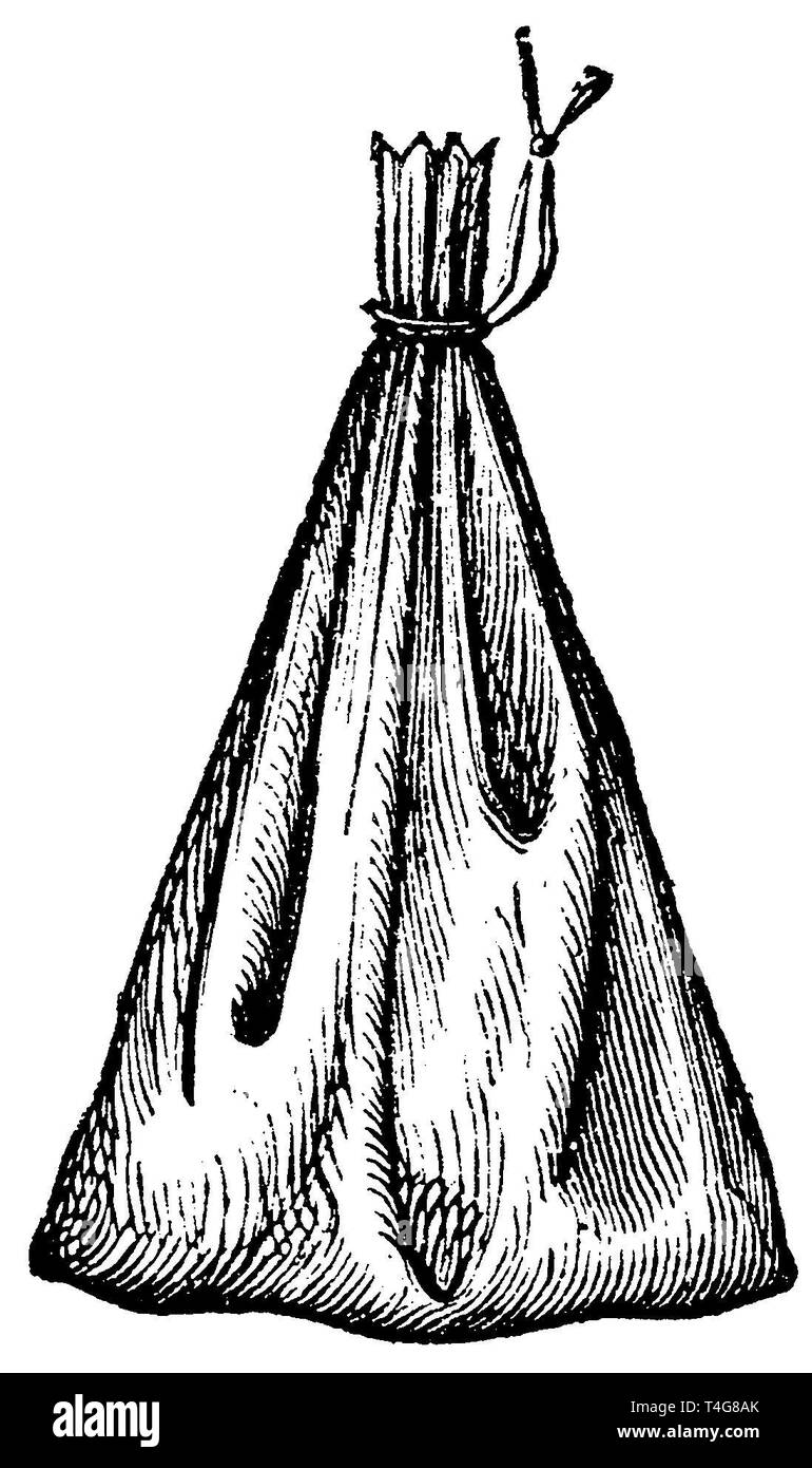 Icepack, anonym 1887 Foto de stock