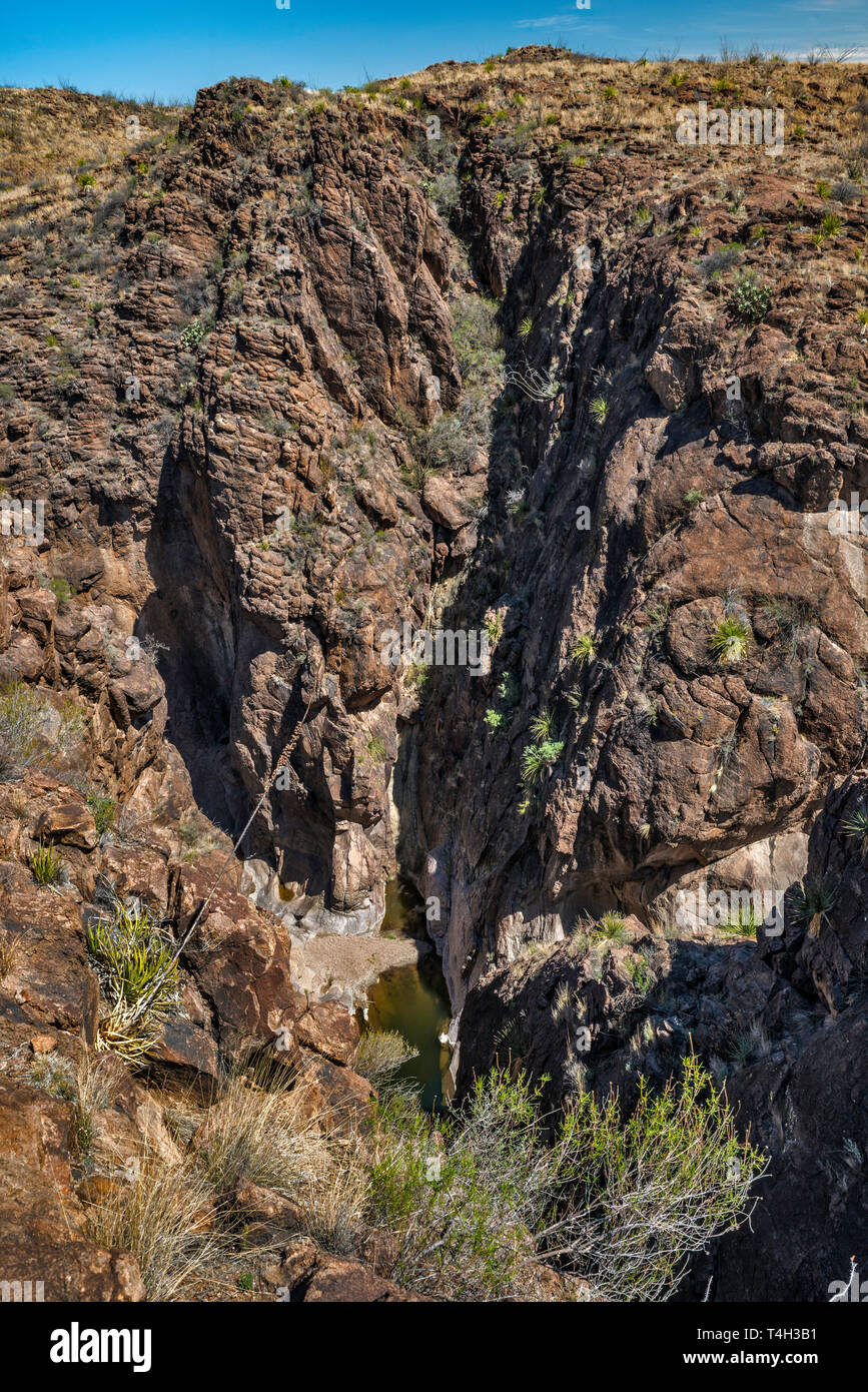 Piscinas de agua de Cinco Tinajas, el desierto de Chihuahua, el Parque Estatal Big Bend Ranch, Texas, EE.UU. Foto de stock