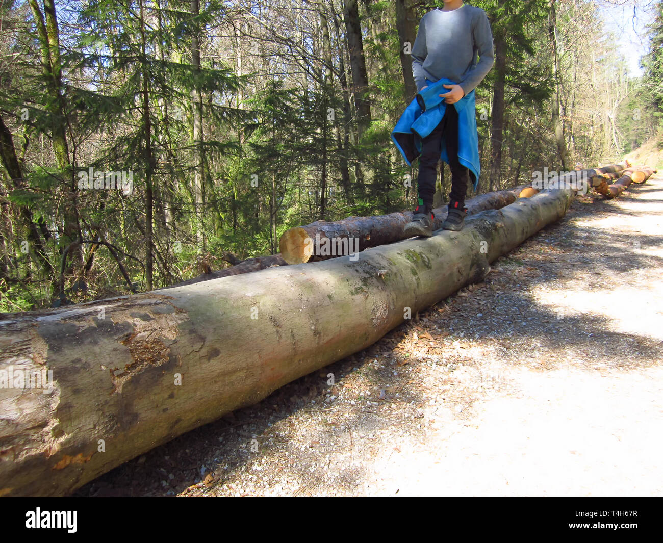 El niño caminando sobre troncos de árbol estimula el desarrollo motor y el equilibrio Foto de stock