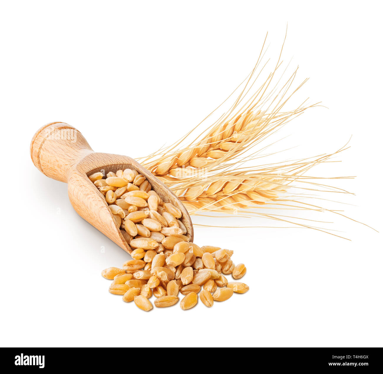Los granos de trigo y espigas aislado en blanco Foto de stock