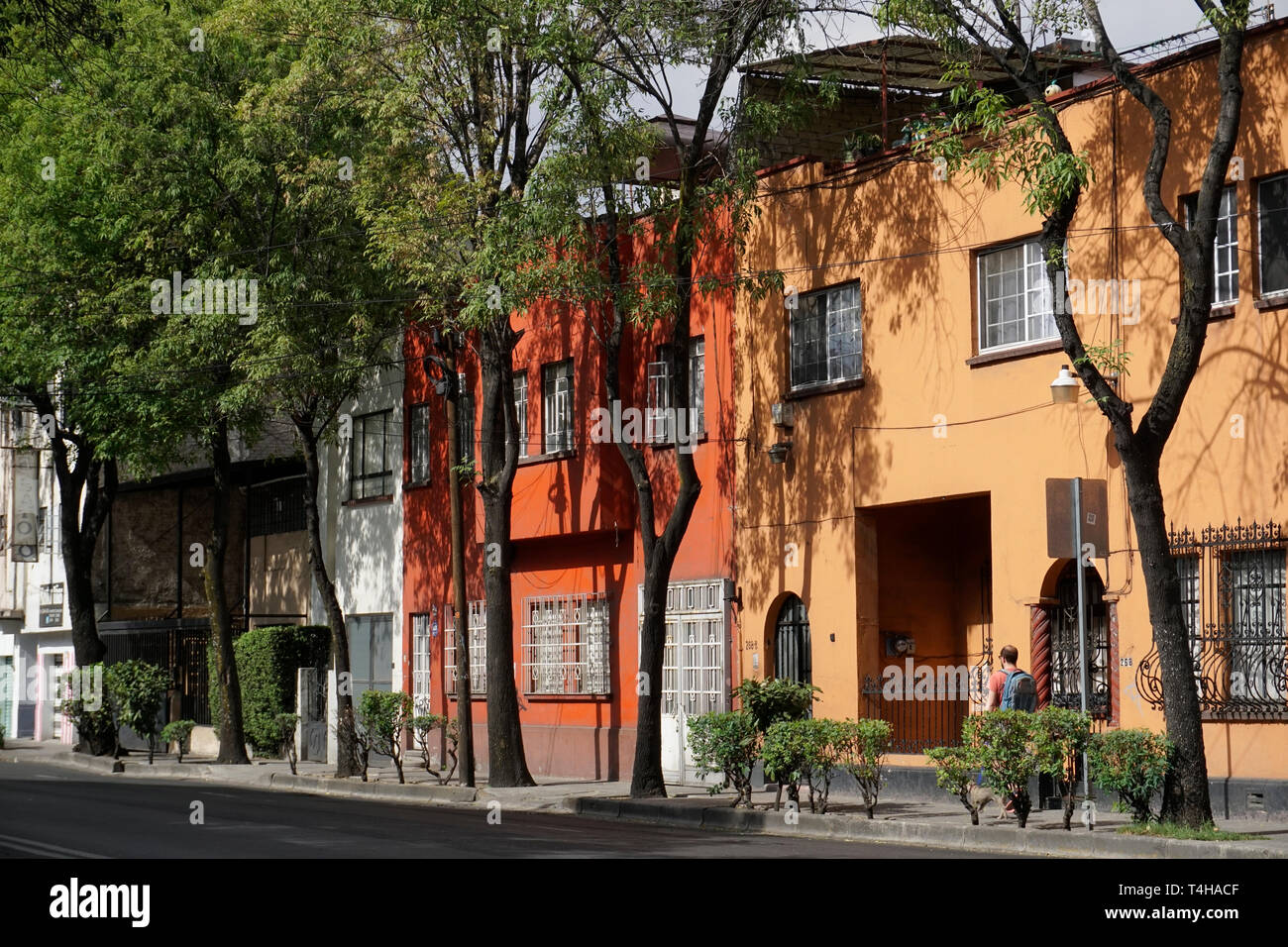 Calle Medellín, Colonia Roma Sur, hogar de la Ciudad de México; México.  Casas Colonia Roma, Ciudad de México, México Fotografía de stock - Alamy