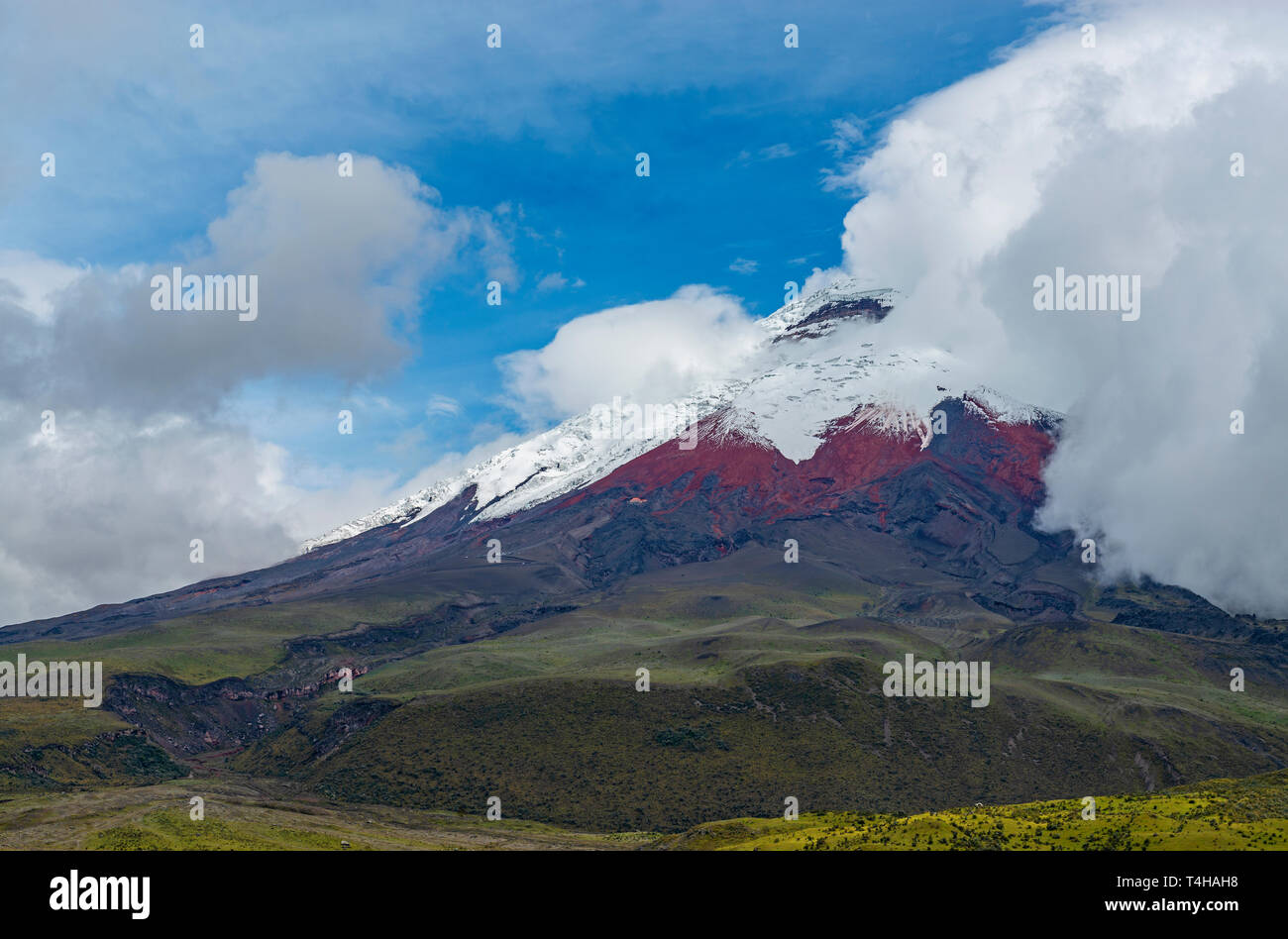 El volcán Cotopaxi saliendo del páramo de gran altitud en el ecosistema con 5897 m de altura, cerca de la ciudad de Quito, Ecuador. Foto de stock