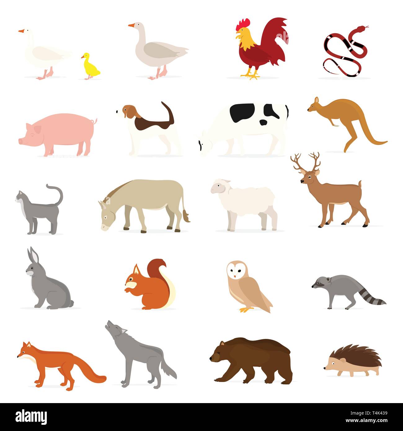 Bonitos animales colección: animales de granja, animales silvestres  aisladas sobre fondo blanco. Plantilla de diseño ilustración vectorial  Imagen Vector de stock - Alamy