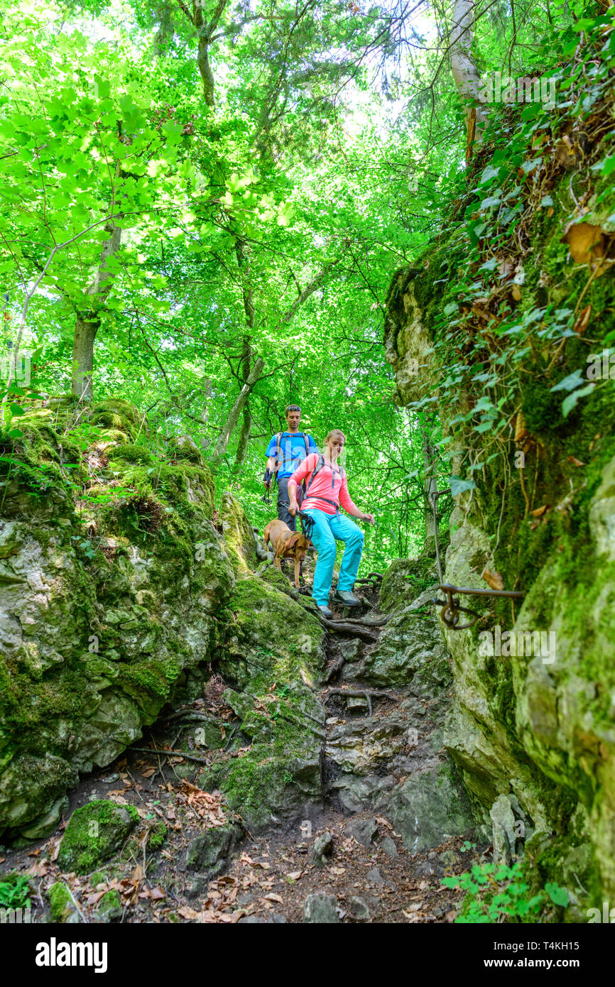 Caminatas en senderos desafiantes y emocionantes en el bosque Foto de stock