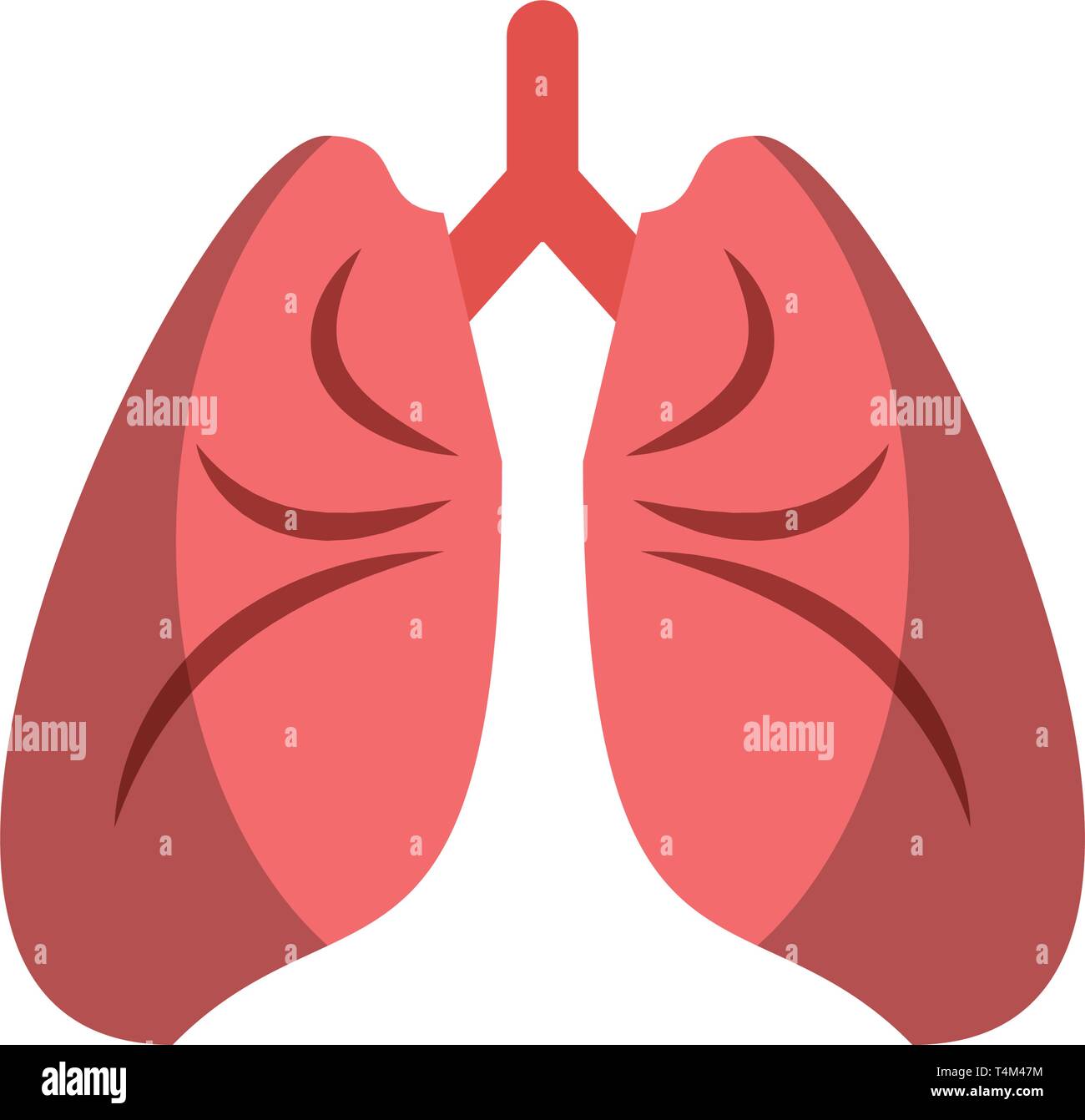 Los pulmones aislados de dibujos animados Imagen Vector de stock - Alamy