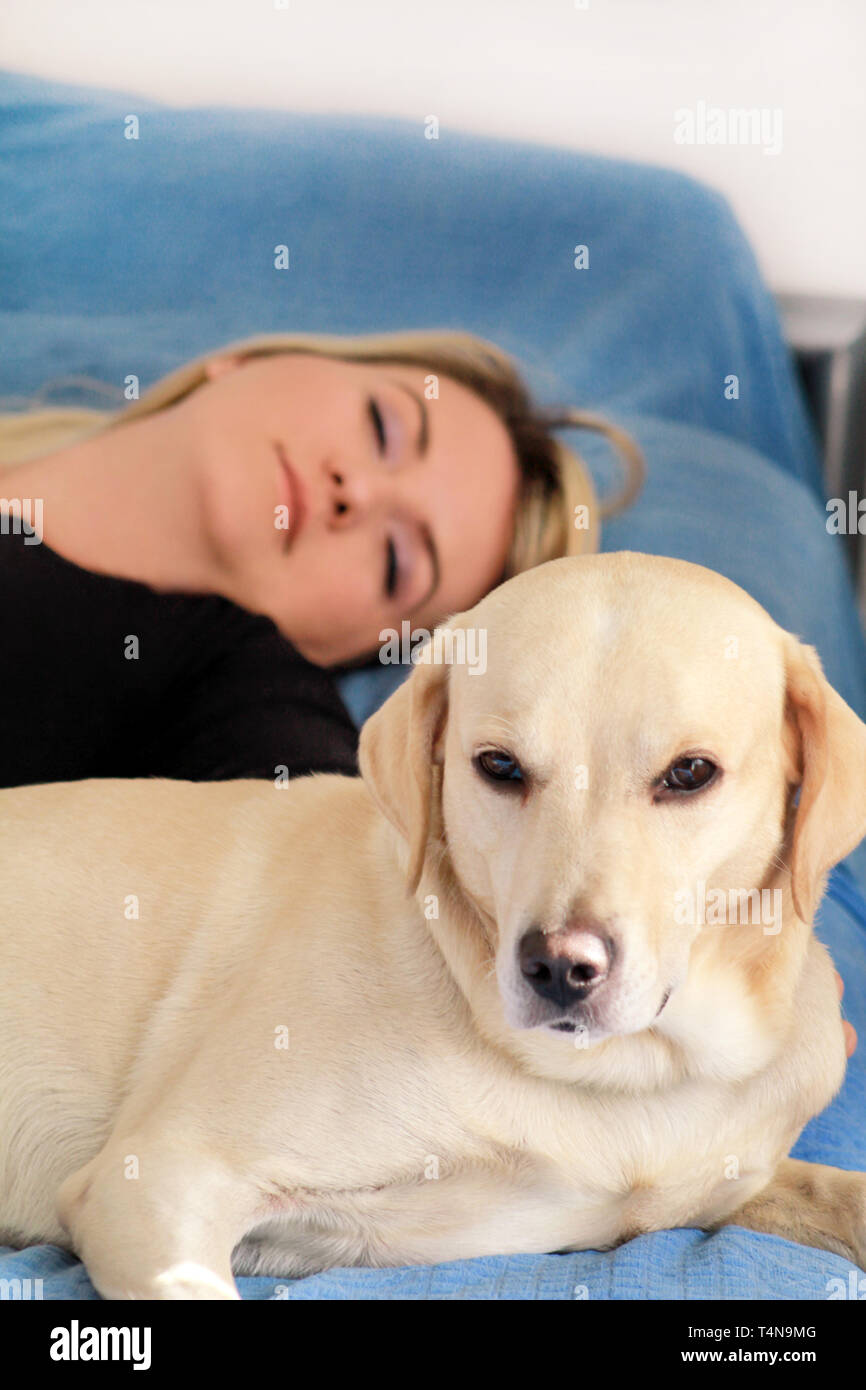 Mujer con bonitos perros en casa. Guapo chica descansando o durmiendo con  su perro en la cama en el dormitorio. Propietario y perro durmiendo en el  sofá. Labrador amarillo Fotografía de stock -