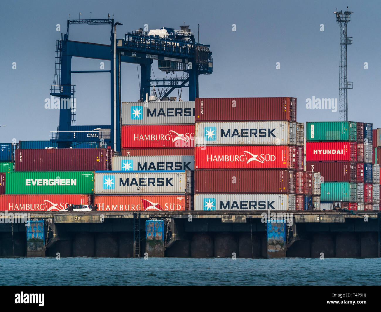 El comercio mundial de Contenedores, contenedores de envío en espera de carga en el puerto de Felixstowe, en el Reino Unido, es el mayor puerto de contenedores Foto de stock