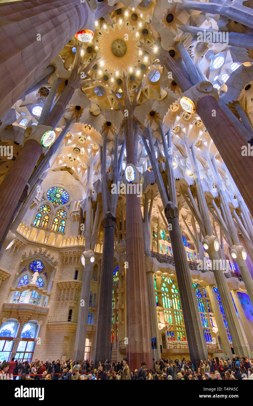 El interior de la Sagrada Familia (Iglesia de la Sagrada Familia, la  catedral diseñada por Gaudí en Barcelona, España Fotografía de stock - Alamy