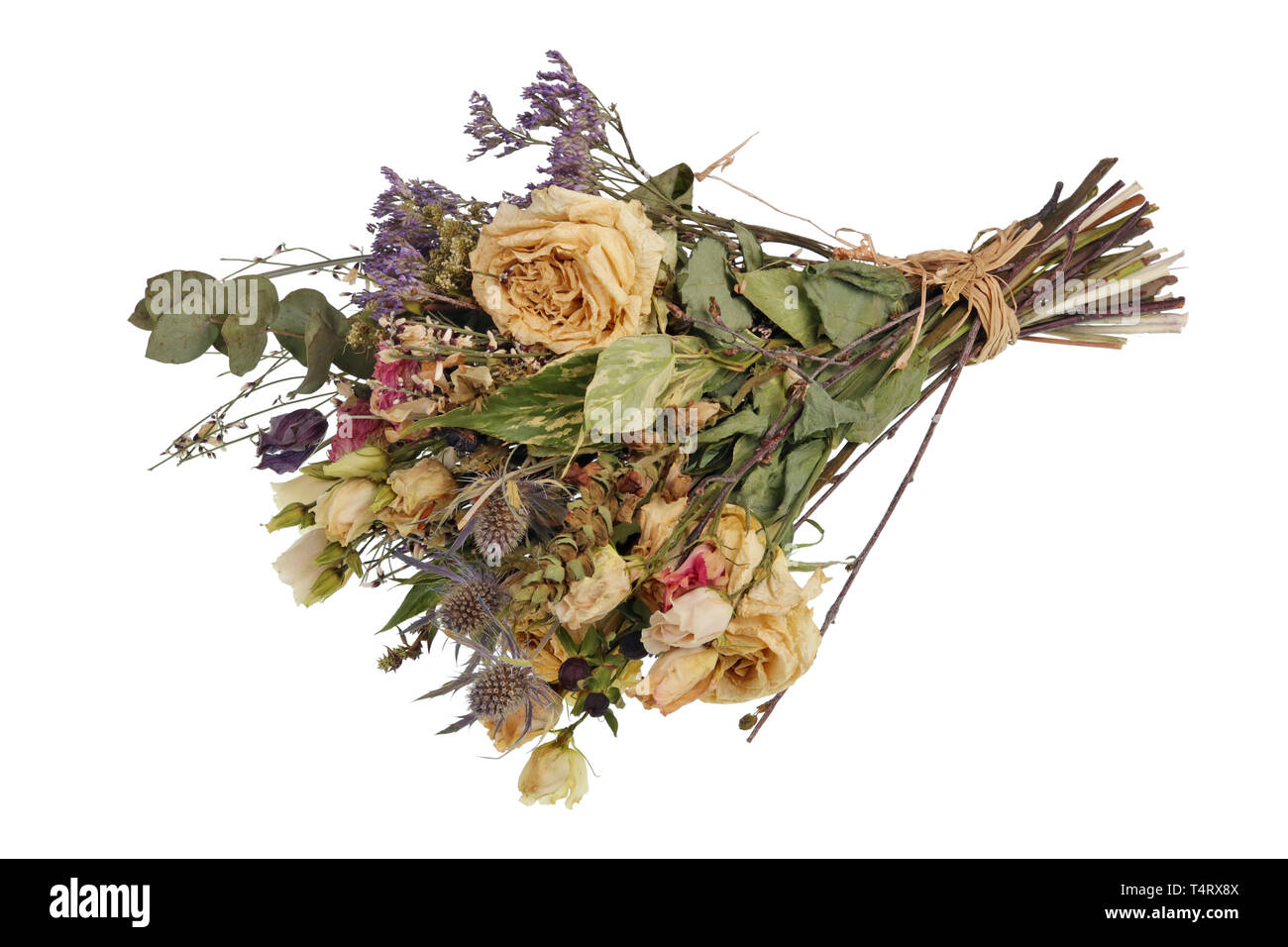 Un dryed muertos ramo de rosas como regalo para una mujer en su 60º  aniversario. Aislado en blanco foto de estudio Fotografía de stock - Alamy