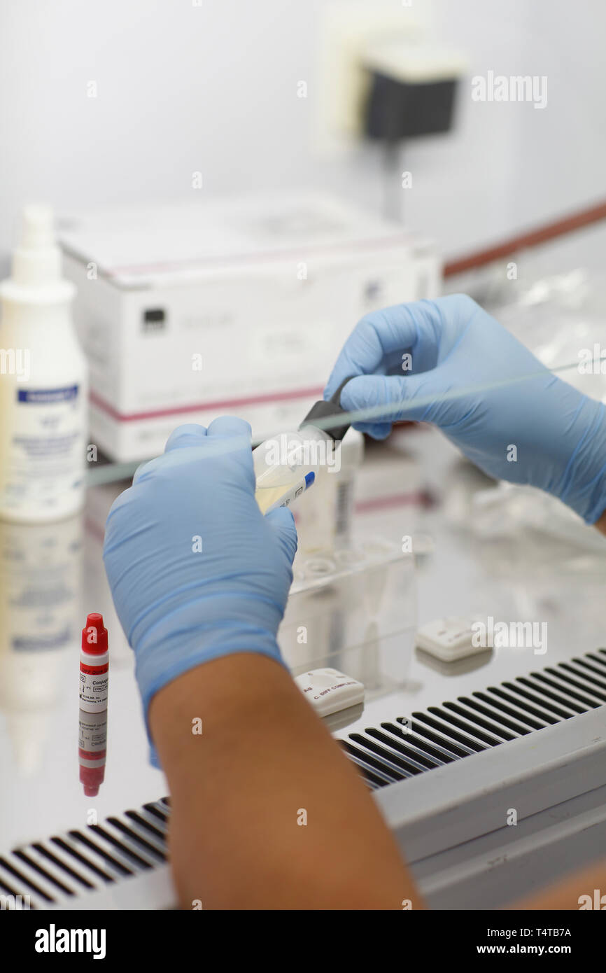 Detalle del cuadro Flowbox laminar (examen), la infección en el hospital, laboratorio acreditado, República Checa Foto de stock