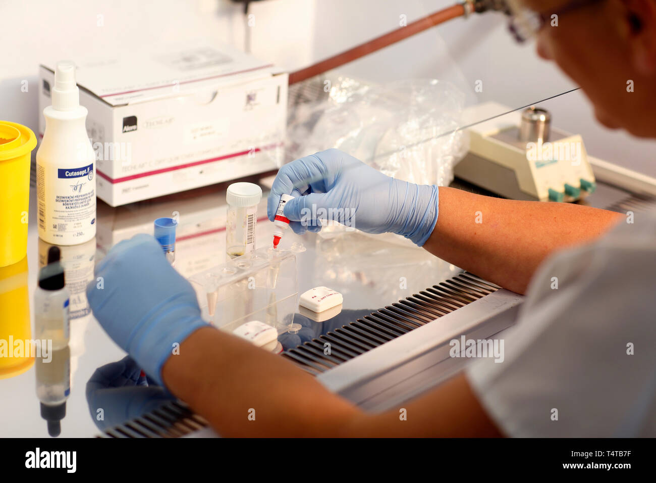 Detalle del cuadro Flowbox laminar (examen), la infección en el hospital, laboratorio acreditado, República Checa Foto de stock