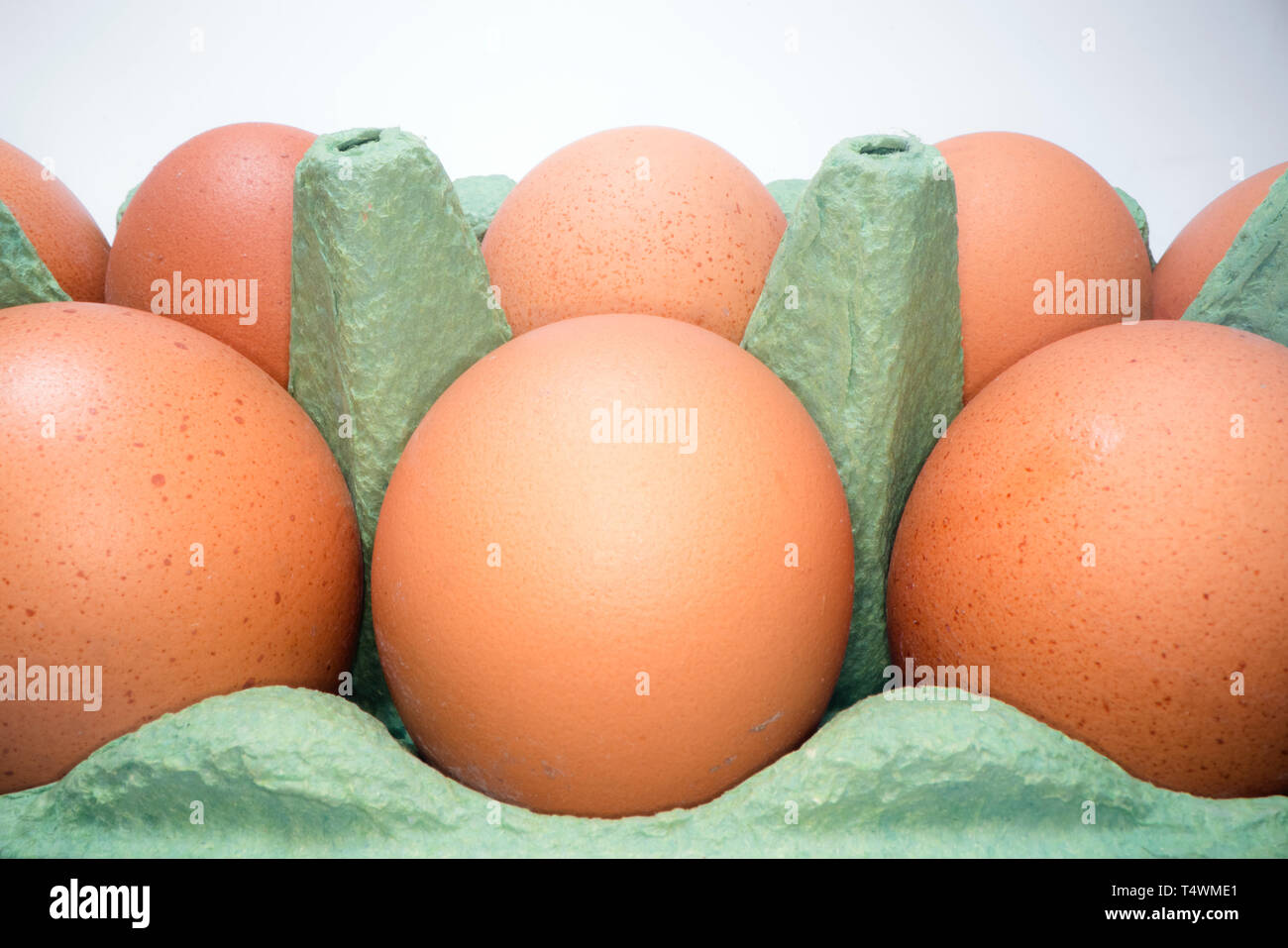 Dos filas de huevos en caja de cartón marrón sobre blanco. Huevos de gallina en el canasto para la Fotografía de stock - Alamy