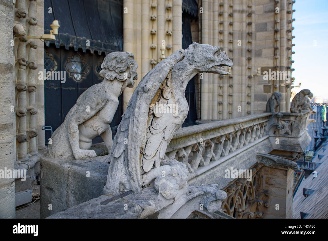 Las gárgolas en la parte superior de la catedral de Notre Dame en París, Francia Foto de stock
