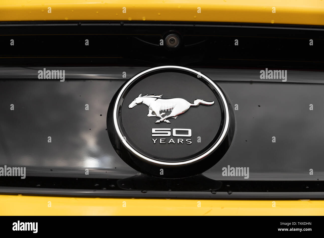 El logotipo de un amarillo 2015 Ford Mustang 50 aniversario el símbolo en la parte trasera del coche con gotas de agua. Foto de stock