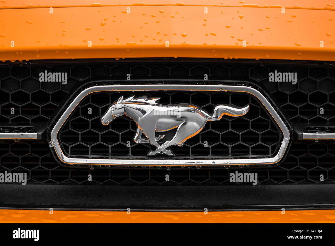La parrilla delantera y el logotipo de una naranja 2015 Ford Mustang 50 aniversario con gotas de agua sobre el coche. Foto de stock