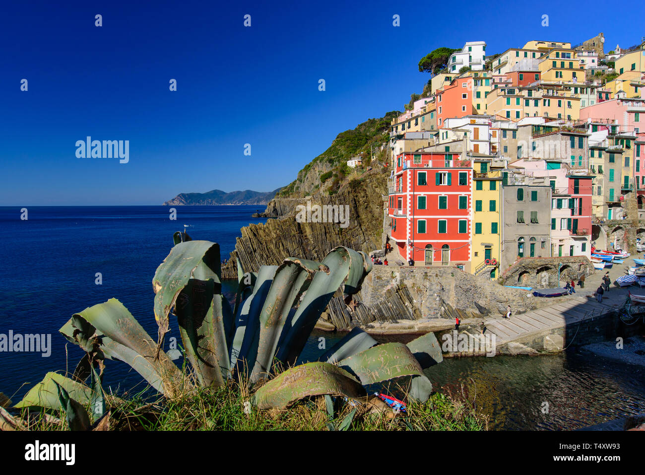 Riomaggiore, uno de los cinco pueblos mediterráneos en Cinque Terre, Italia, famosa por sus casas de colores Foto de stock