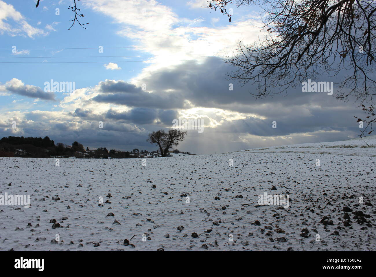 Nevicata invernale Foto de stock