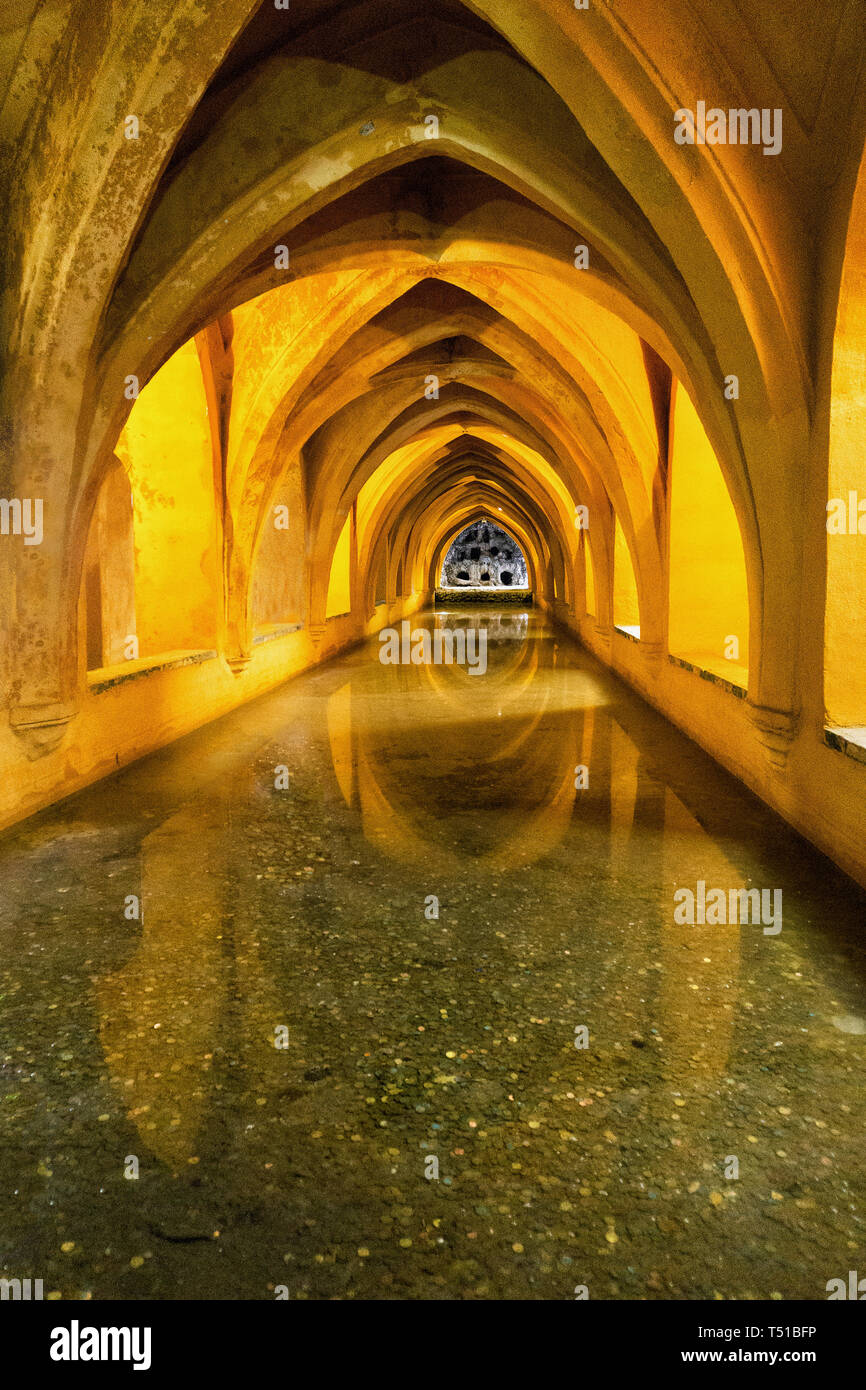 Repulsión hada Víspera de Todos los Santos Baños subterráneos en el Real Alcázar de Sevilla, España Fotografía de  stock - Alamy