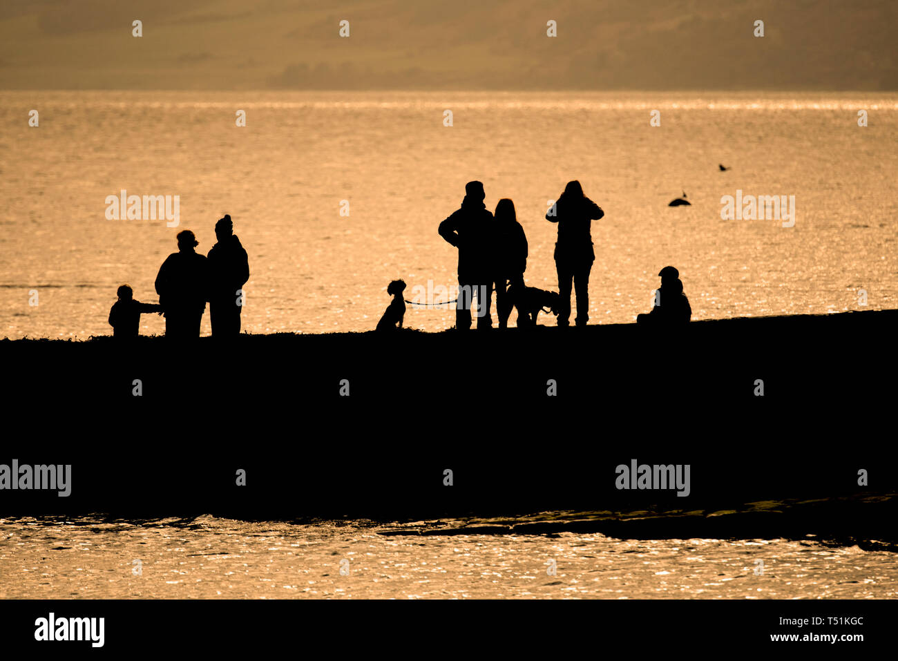 Buscando delfines, punto Chanonry, Rosemarkie, Escocia. Foto de stock