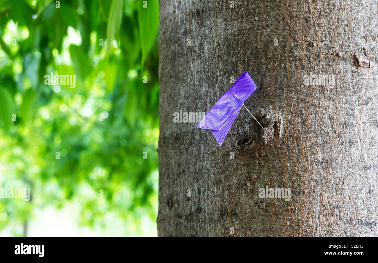 Una cinta púrpura plegada anclado a un árbol durante la Semana Santa de Sevilla para simbolizar la tolerancia religiosa Foto de stock
