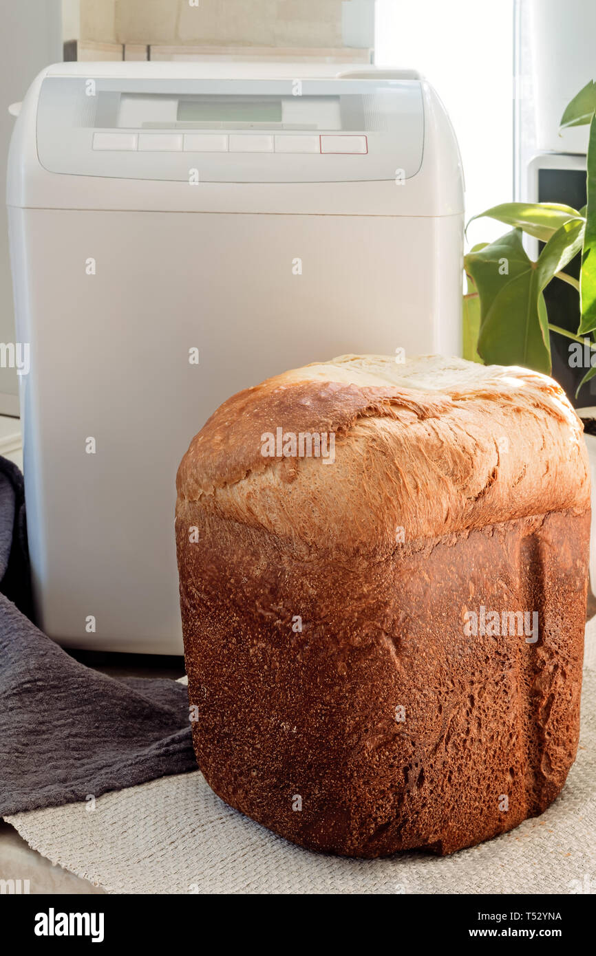 Electrodomésticos: horno eléctrico para hornear pan en casa. El pan blanco  Fotografía de stock - Alamy