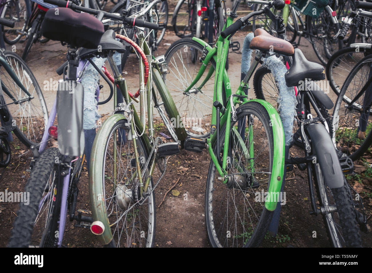 Bicicletas coloridas y bicicletas encerradas en un parque de bicicletas en Oxford, Reino Unido Foto de stock