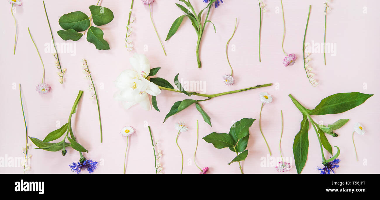 Flat-lay de lirio del valle, el aciano, Daisy y peony garden flores, amplia composición Foto de stock