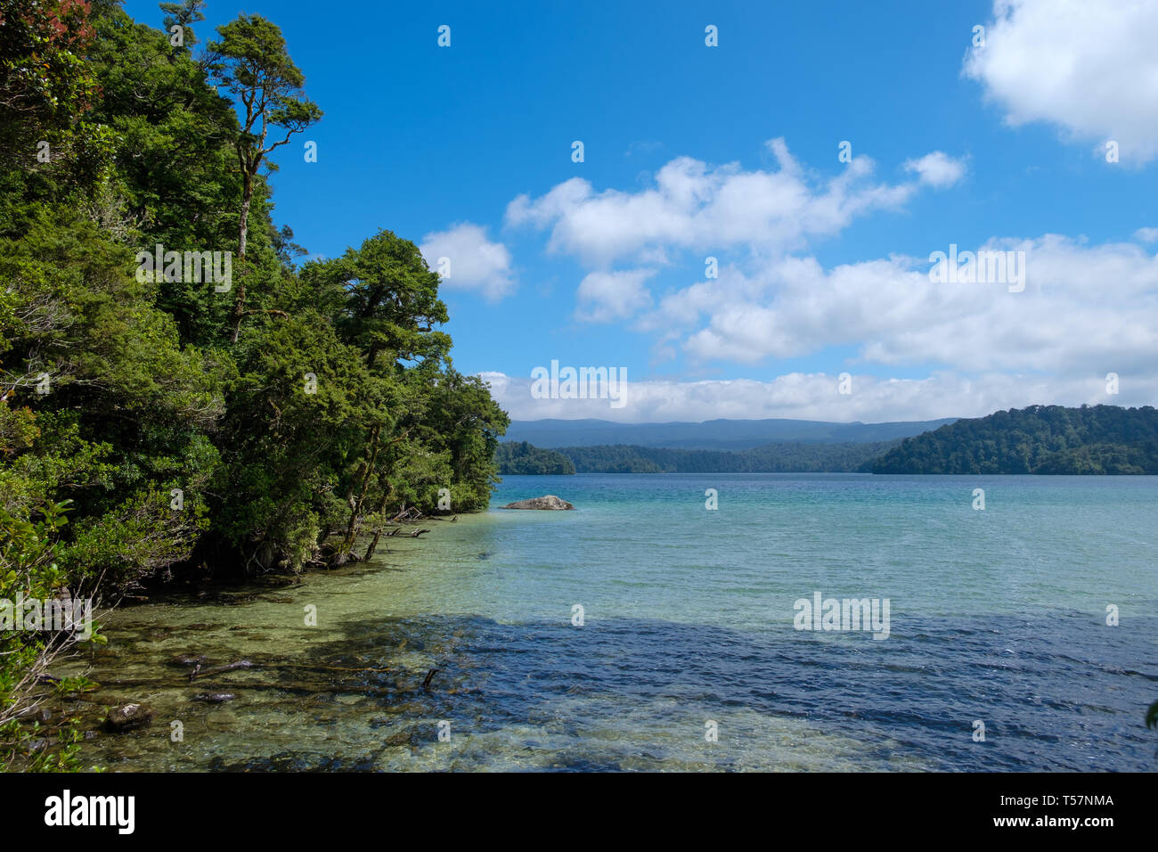 Lago Waikareiti a Te Urewera, Región de Hawkes Bay, Isla del Norte, Nueva Zelanda Foto de stock