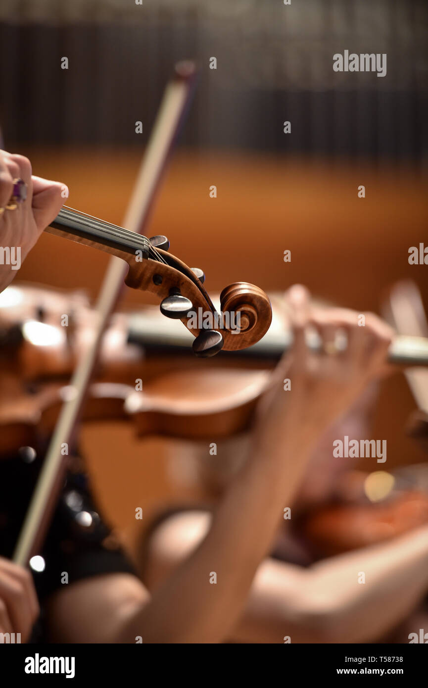 Detalle de la mano de jugadores de violín en la orquesta filarmónica de rendimiento Foto de stock