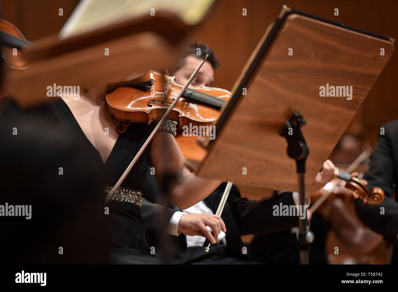 Detalle de la mano de jugadores de violín en la orquesta filarmónica de rendimiento Foto de stock