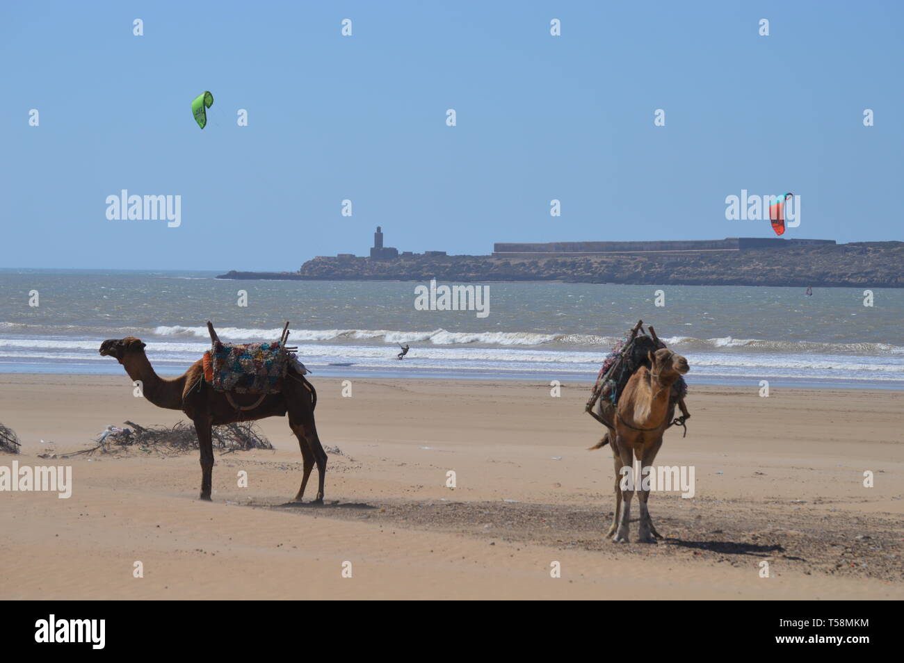 Playa de Essaouira, Foto de stock