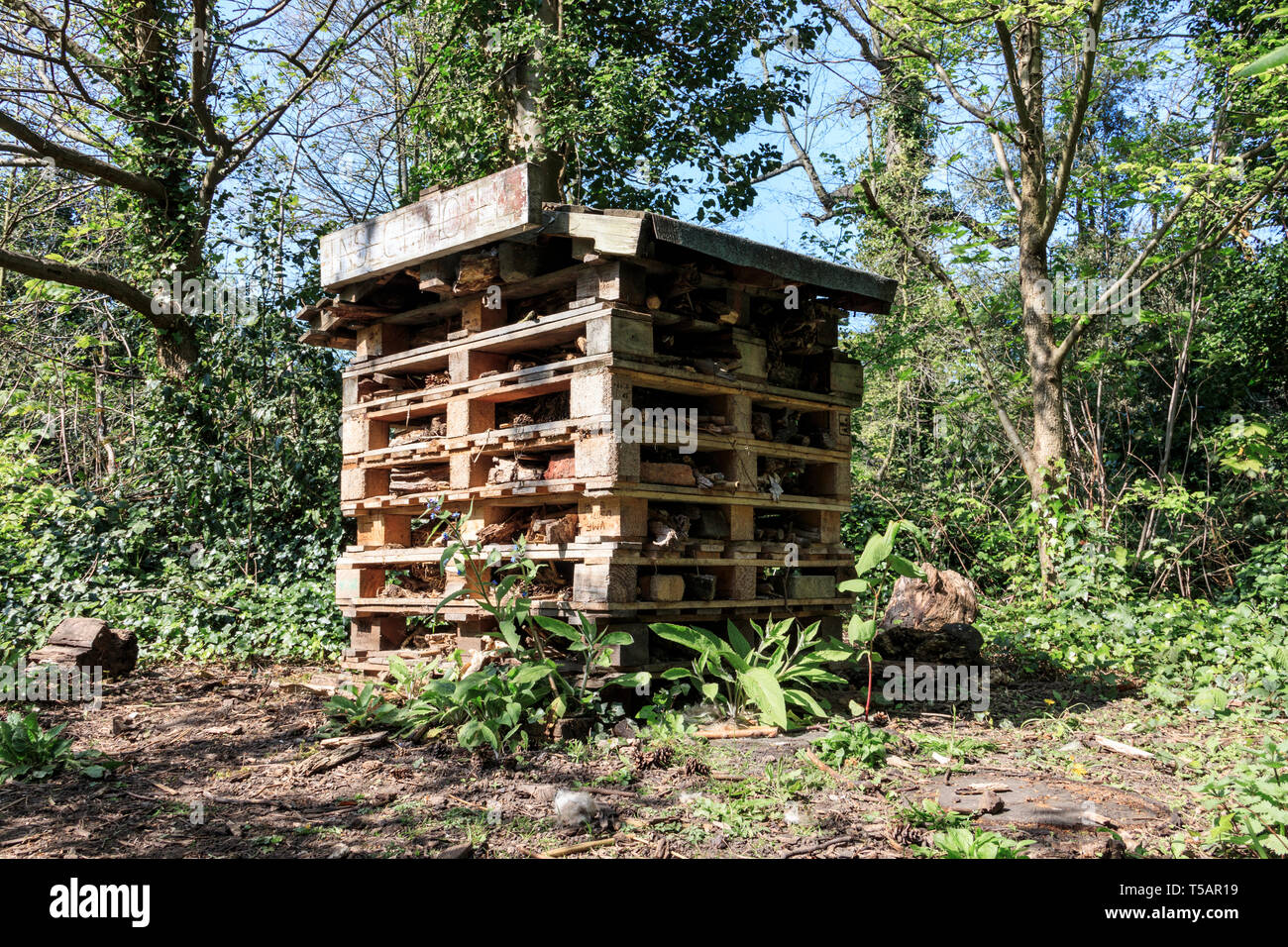 Un hotel "insecto" de paletas de madera antiguos para crear un hábitat de hibernación del insecto en un parque de Londres Foto de stock