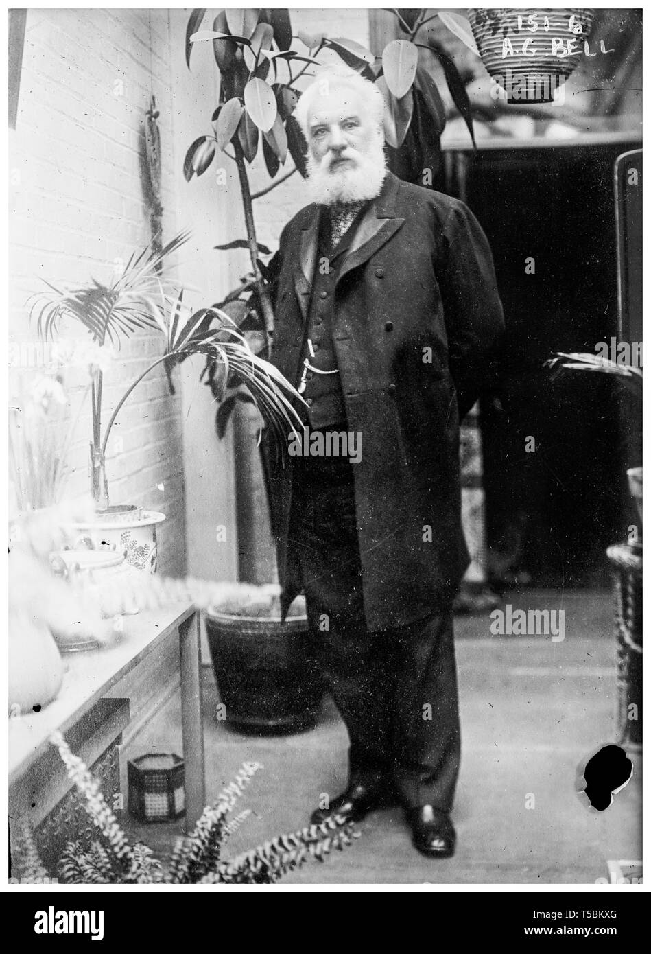 Alexander Graham Bell (1847-1922), retrato de longitud completa, c. 1900-22 Foto de stock