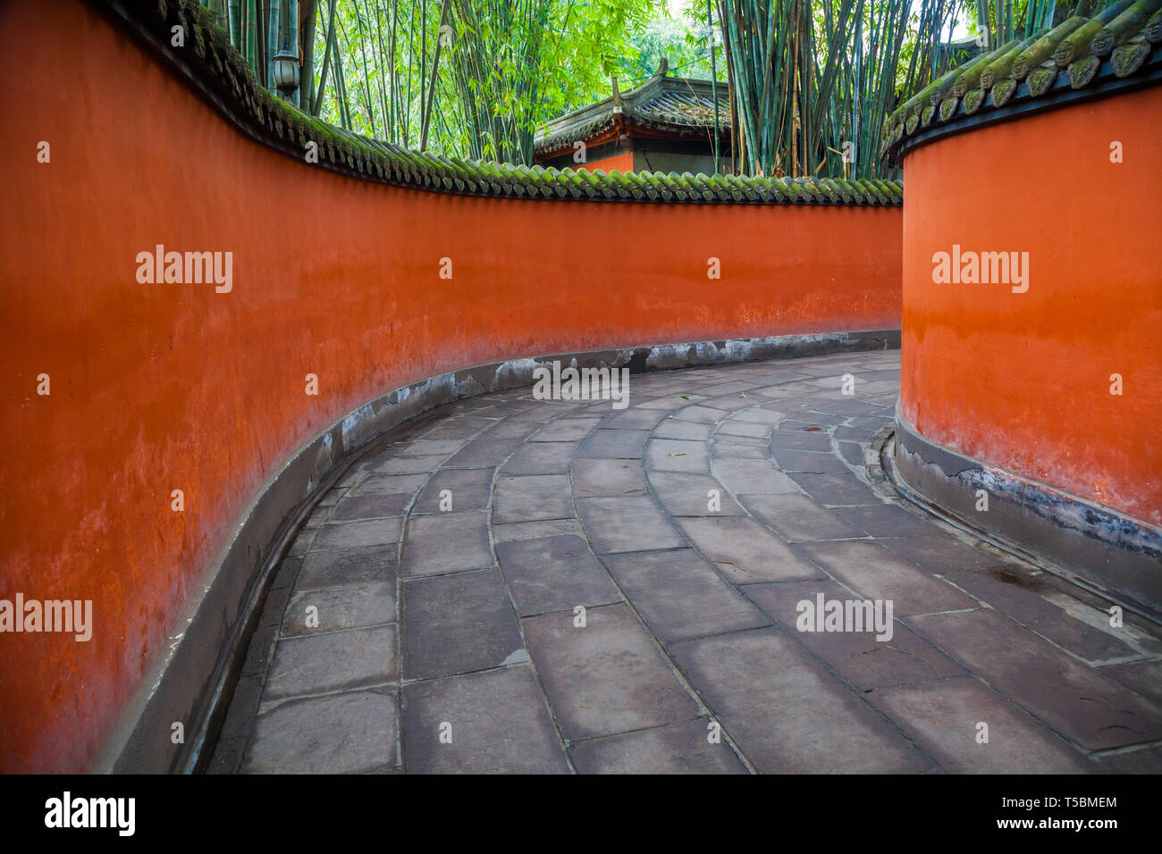 Paso entre paredes rojas rodeado de bambúes,Chengdu, China. Foto de stock